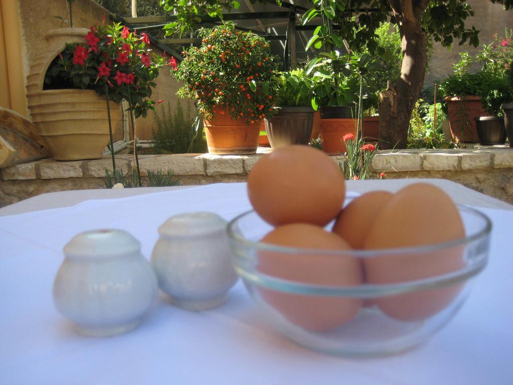 Nostos Hotel Galaxídhion Dış mekan fotoğraf
